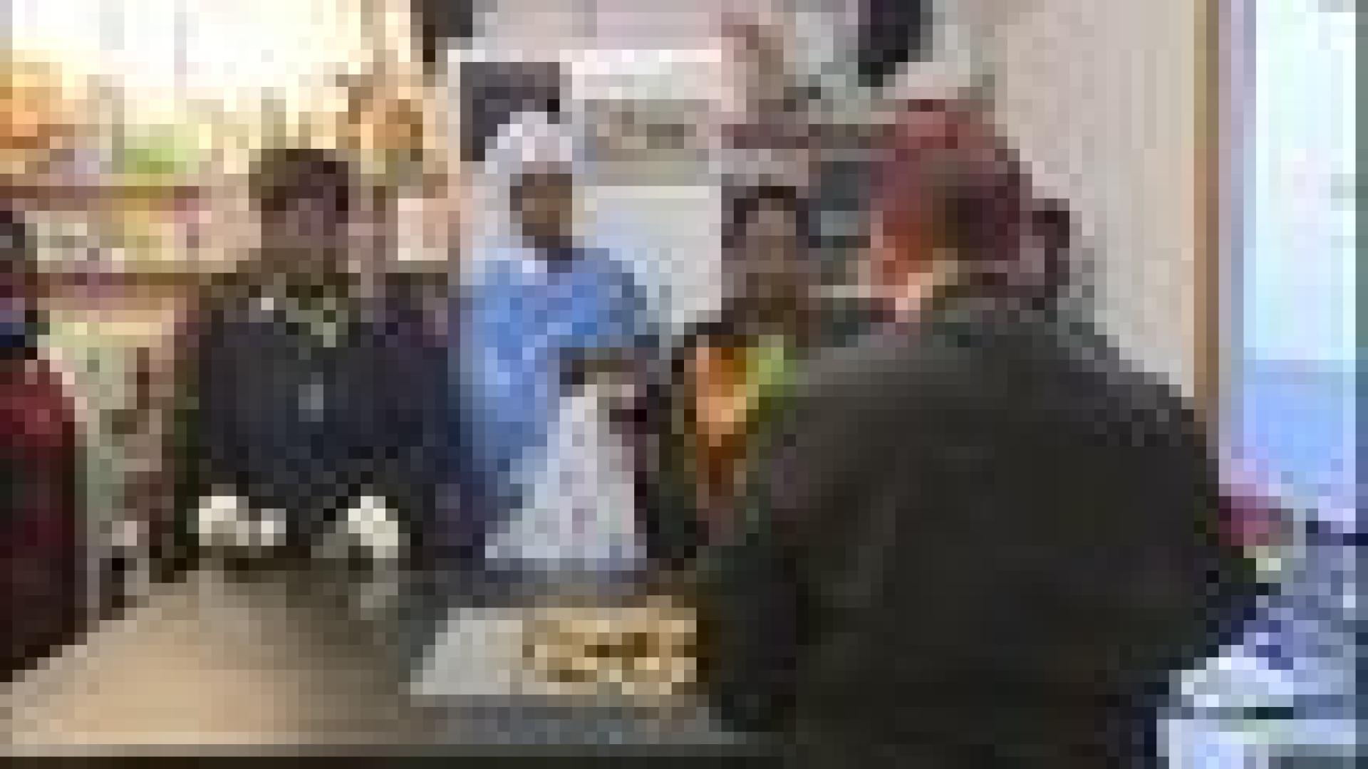 Femmes chefs d'entreprises sénégalaises à Liège